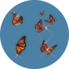 Ruth Duke Avatar